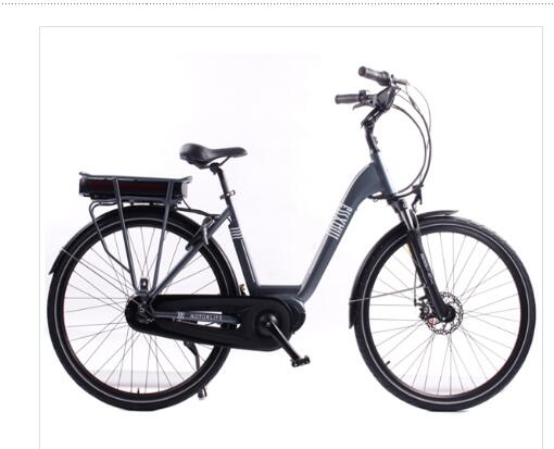 250w vélo électrique 36V / 13ah Hub arrière moteur à traction vélo électrique de ville 0