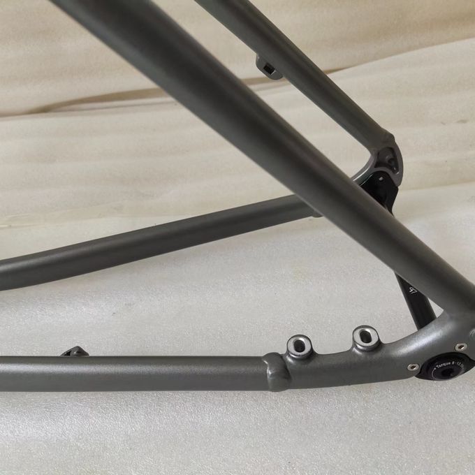 Pièces en aluminium de bicyclette du gravier 700C de cadre de vélo de route de frein à disque 6